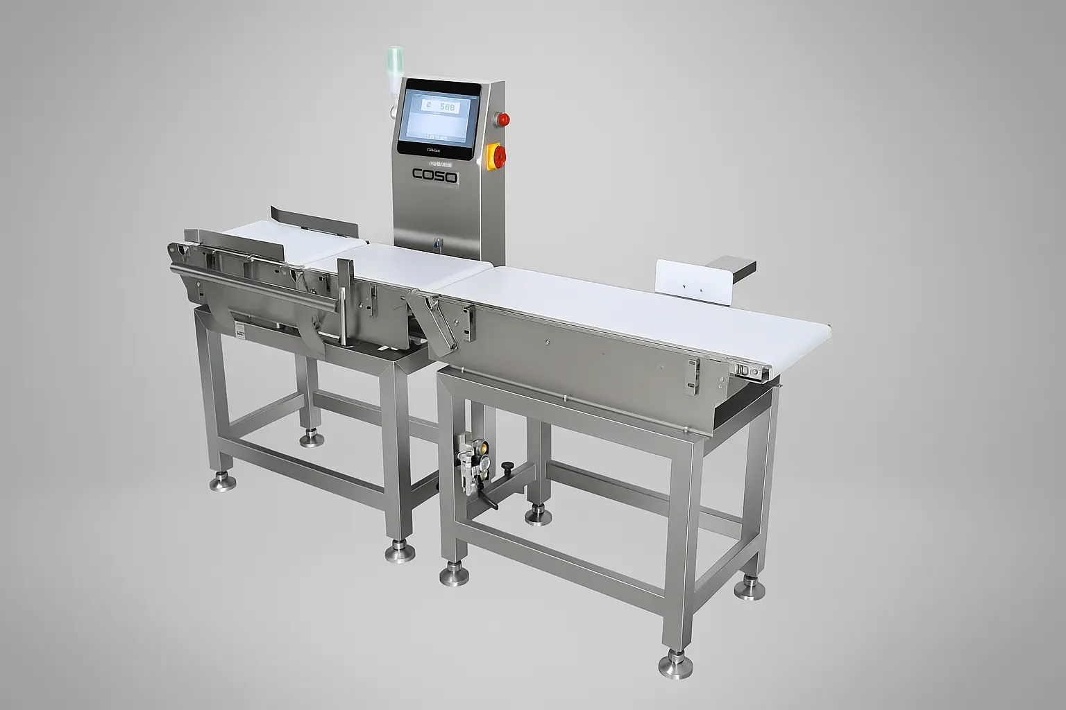 Conveyor belt weighing system